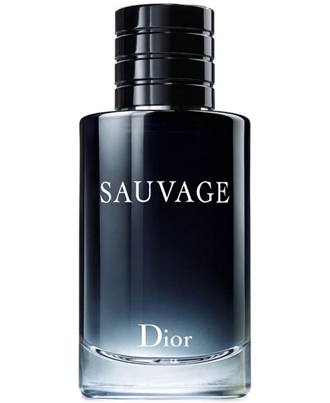 is dior sauvage a winter fragrance|Dior Sauvage edt fragrantica.